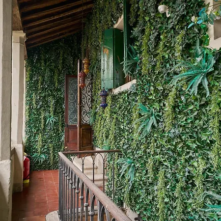 Attico Di Piazza Cima Apartamento Conegliano
